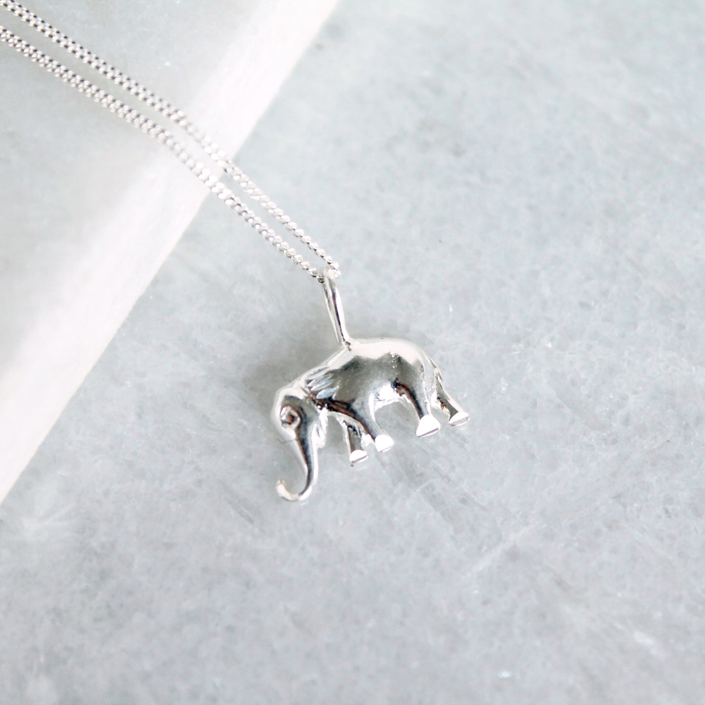 Elephant Strength Necklace